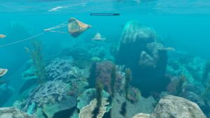 Stranded Deep